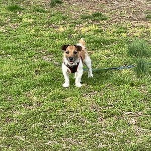 Meet your Posher, Travis